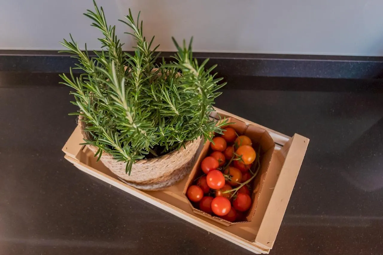 Vico Garden-203 By Rent All Como